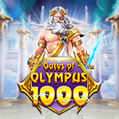 Cổng Olympus 1000 - FC8 slot